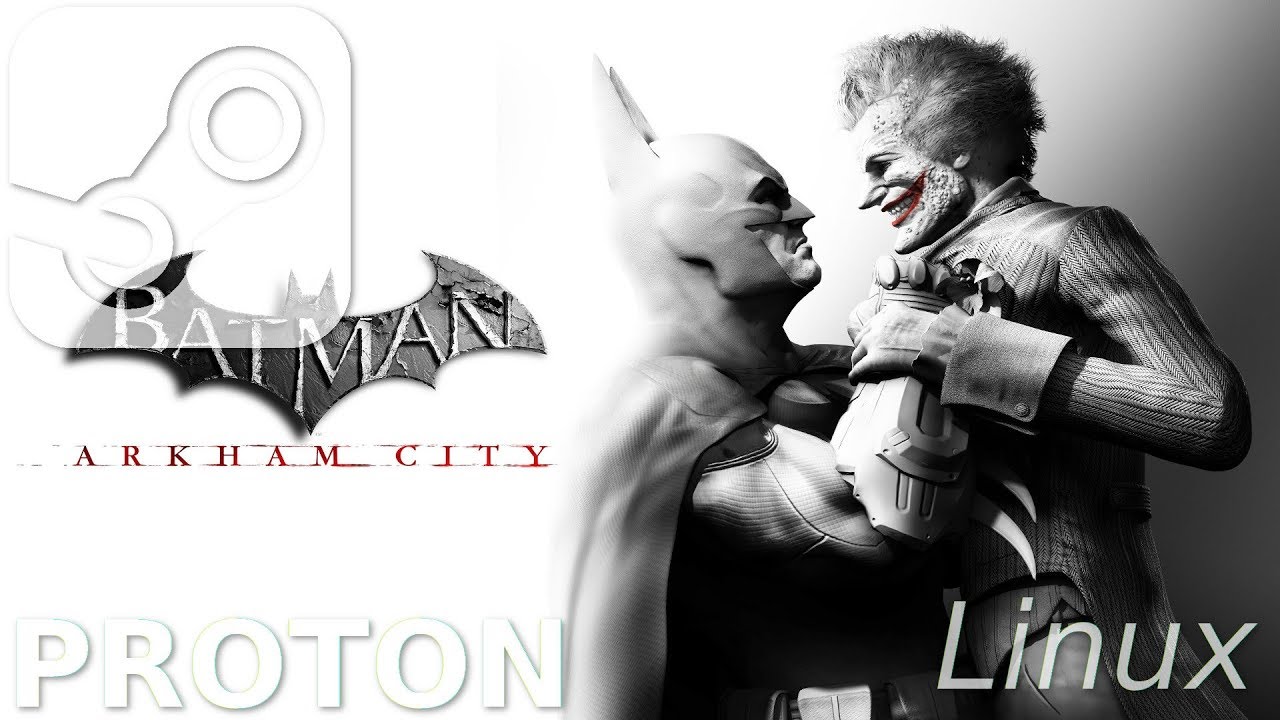 batman arkham city goty steam